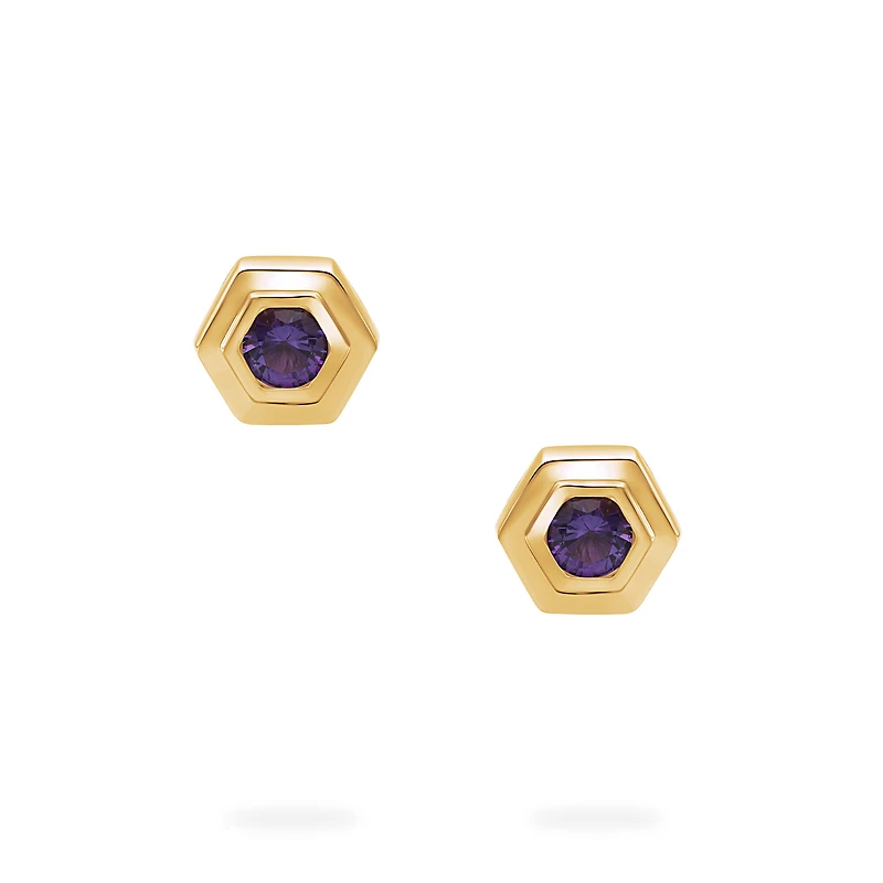 Yellow Gold Birthstone Earrings, Amethyst