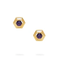 Yellow Gold Birthstone Earrings, Amethyst