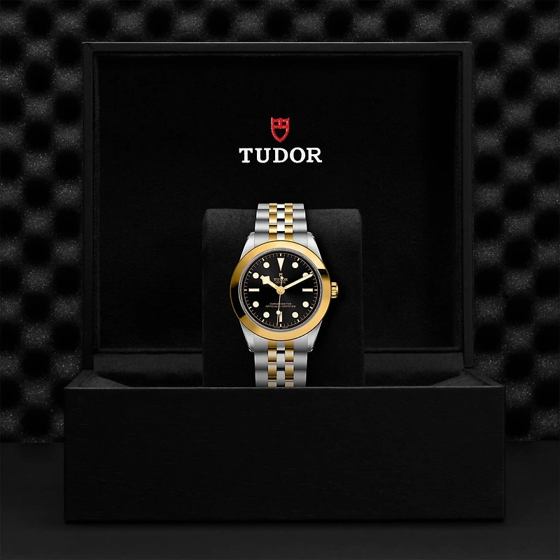 Black Bay One Automatic 39 mm Yellow Gold and Stainless Steel