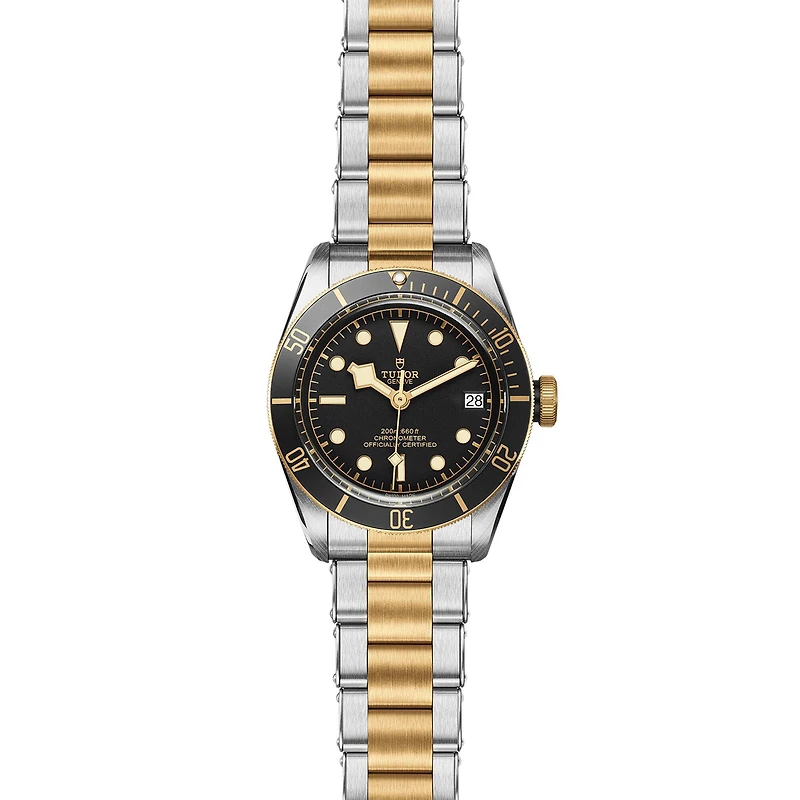 Black Bay Automatic 41 mm Yellow Gold and Stainless Steel