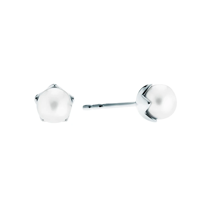Freshwater Pearl Stud Earrings for Kids