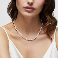 7-7.5 mm AAA Akoya Necklace