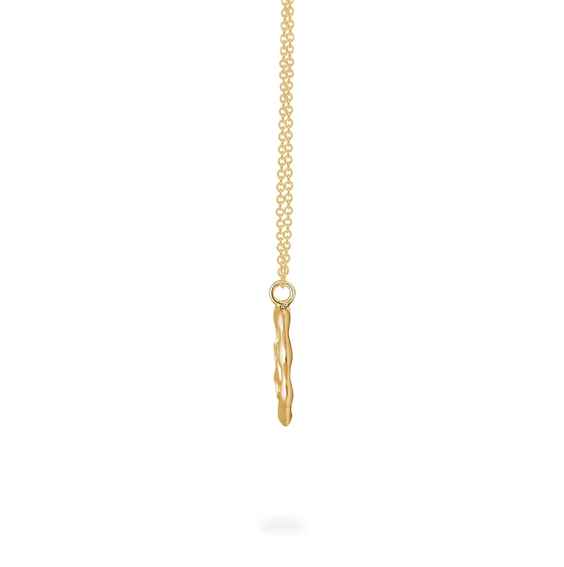 Zodiac Capricorn Pendant in Yellow Gold