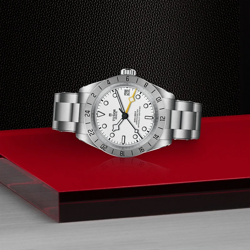 Black Bay Pro Automatic GMT 39 mm Stainless Steel