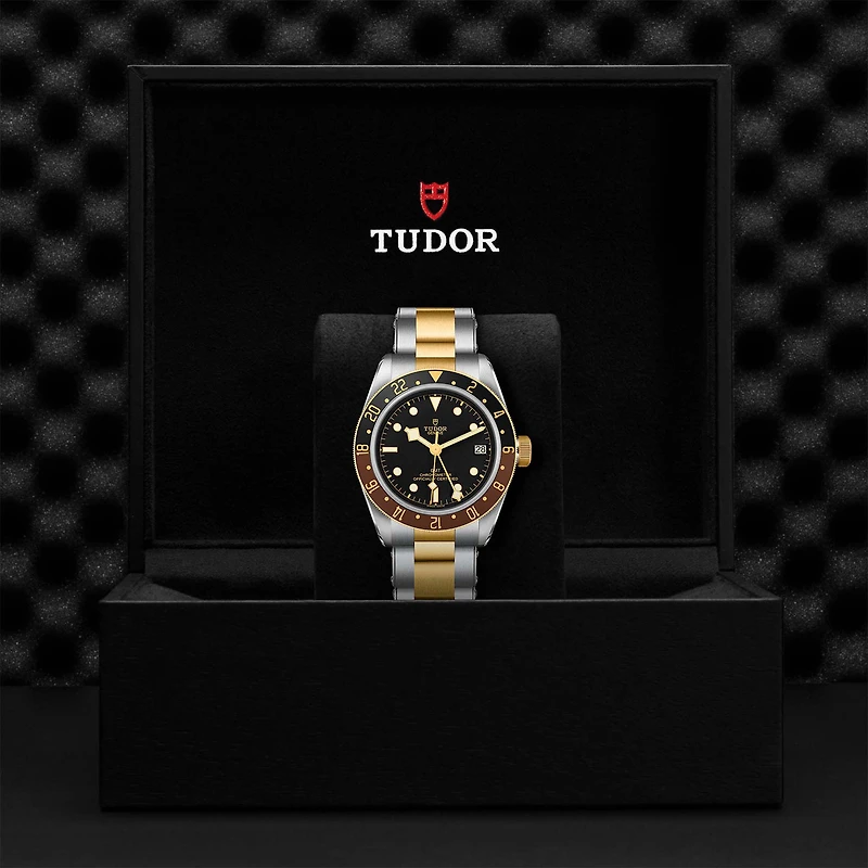 Black Bay GMT Automatic 41 mm Yellow Gold and Stainless Steel