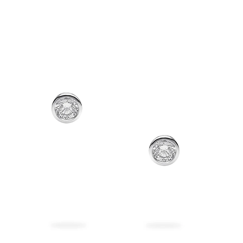 Sterling Silver and Diamond Earrings