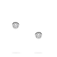 Sterling Silver and Diamond Earrings