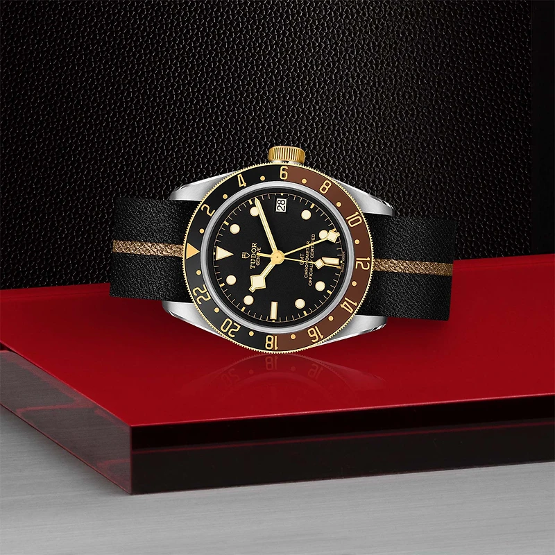 Black Bay GMT Automatic 41 mm Stainless Steel