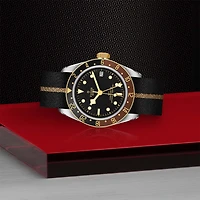 Black Bay GMT Automatic 41 mm Stainless Steel