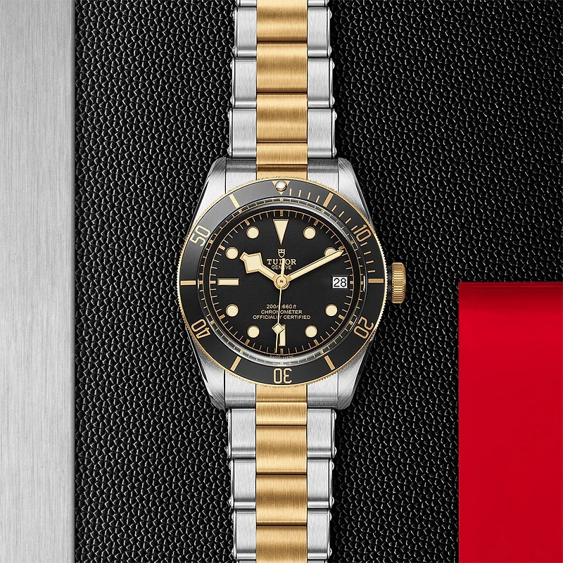 Black Bay Automatic 41 mm Yellow Gold and Stainless Steel