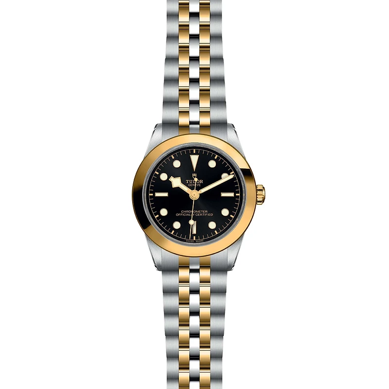 Black Bay One Automatic 39 mm Yellow Gold and Stainless Steel