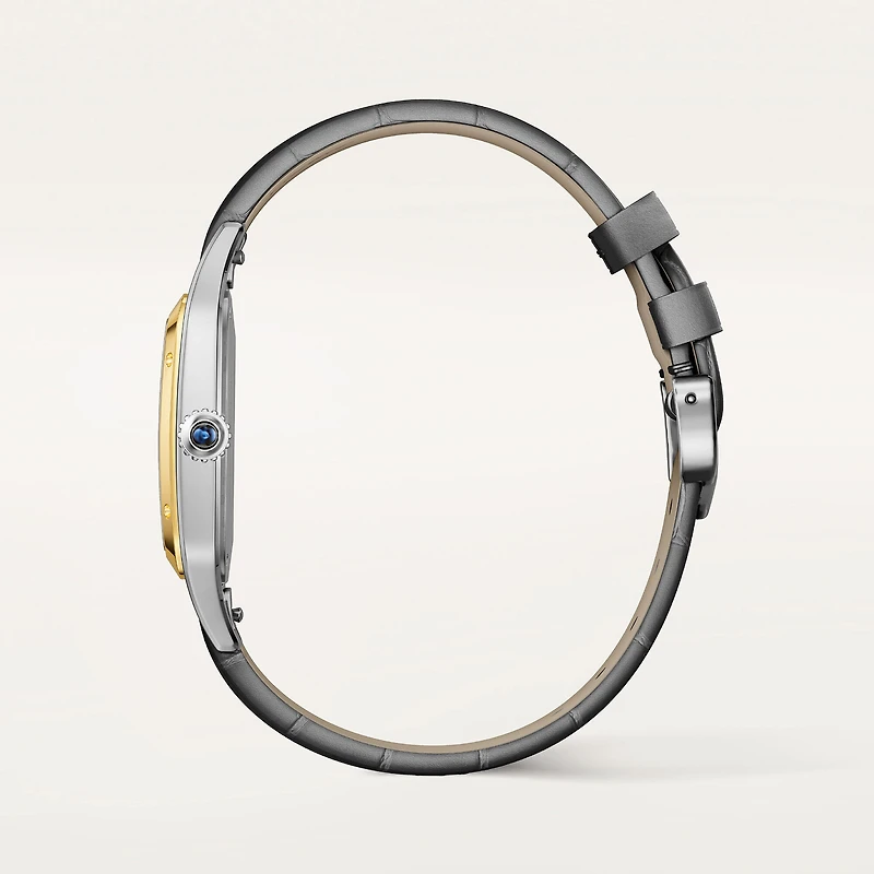 Santos-Dumont Large Quartz 43 X 31 mm Yellow Gold and Stainless Steel
