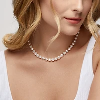 8-8.5 mm AA Akoya Necklace