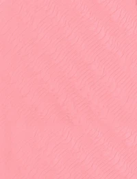 Foulard en Mousseline Plissé Texturé avec Bords Scallopés Élégants