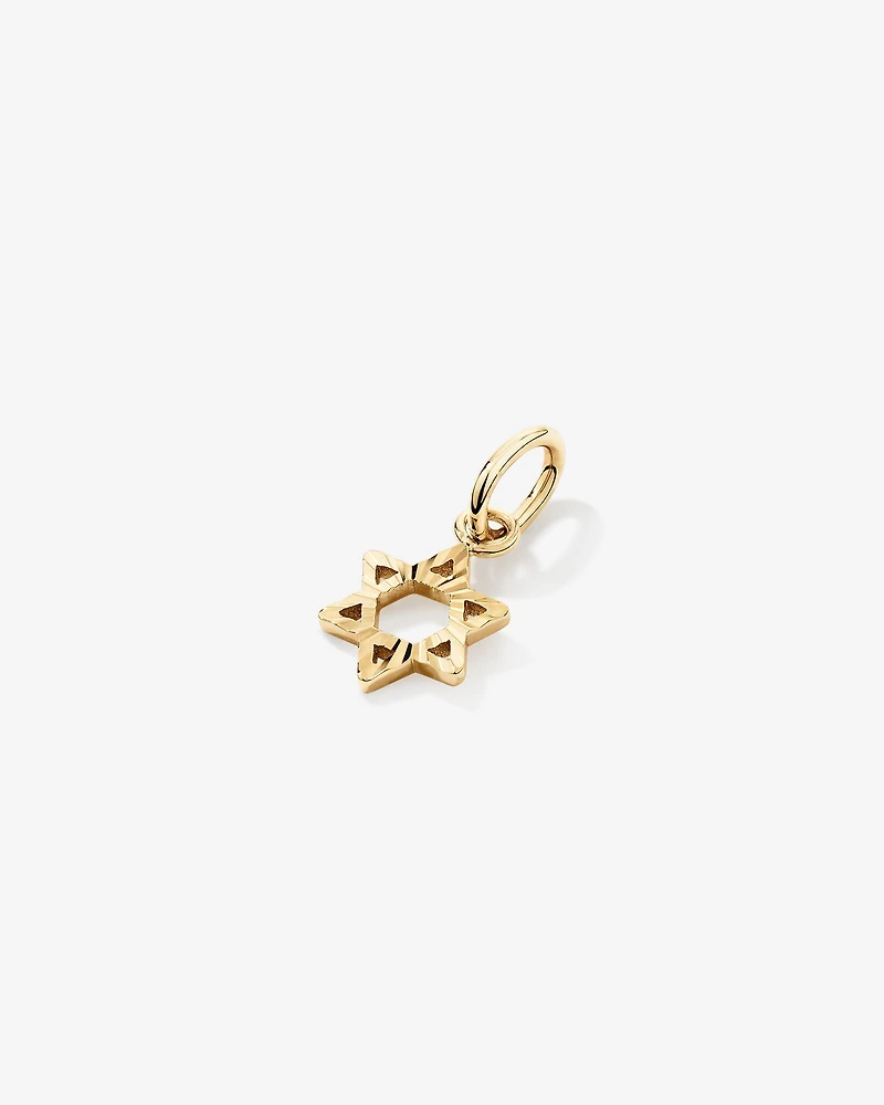 Star of David Pendant in 10kt Yellow Gold