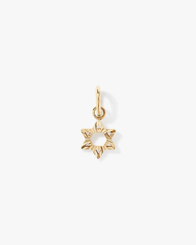 Star of David Pendant in 10kt Yellow Gold