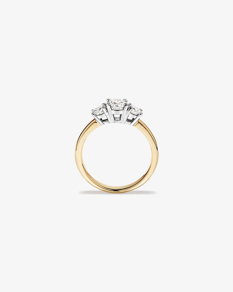 1.00 Carat TW 3 Stone Signature 101 Diamond Ring in 14kt Yellow and White Gold