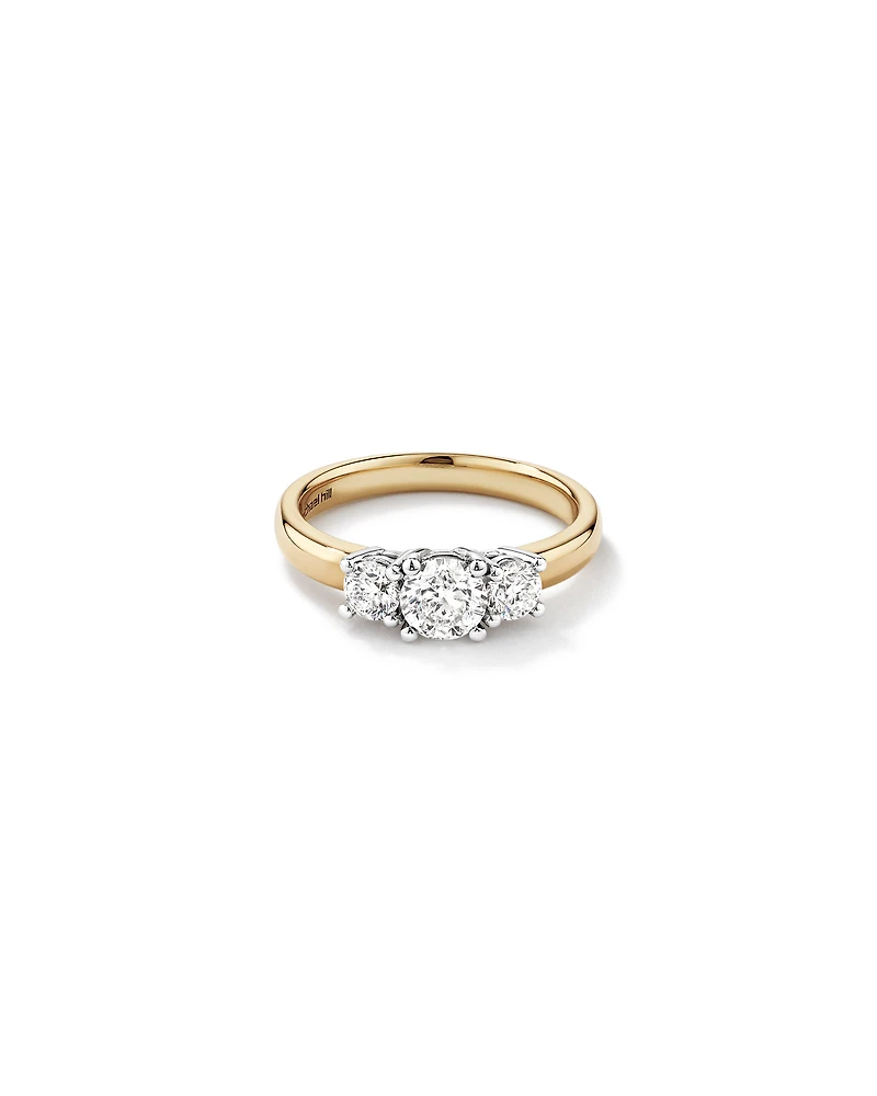 1.00 Carat TW Three Stone Round Brilliant Diamond Engagement Ring in 14kt Yellow and White Gold