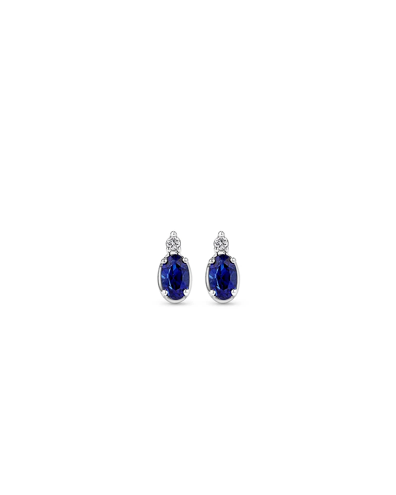 0.05 Carat TDW Laboratory-Grown Diamond & Created Sapphire Gift Set in Silver
