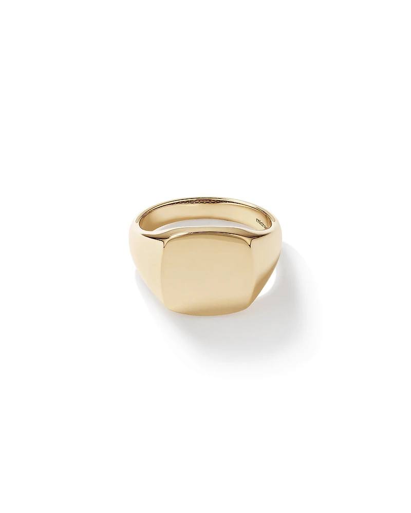 Men's Signet Ring in 10kt Yellow Gold