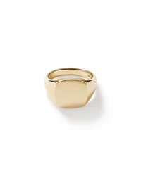 Men's Signet Ring in 10kt Yellow Gold