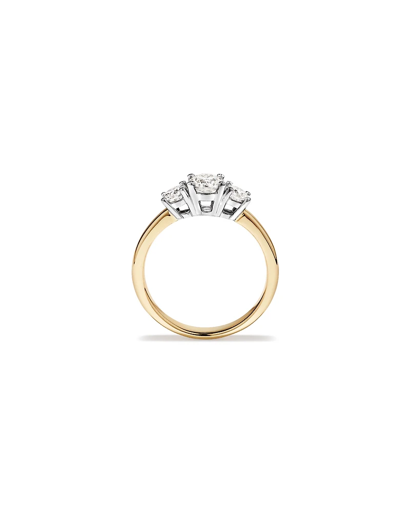 1.00 Carat TW 3 Stone Signature 101 Diamond Ring in 14kt Yellow and White Gold