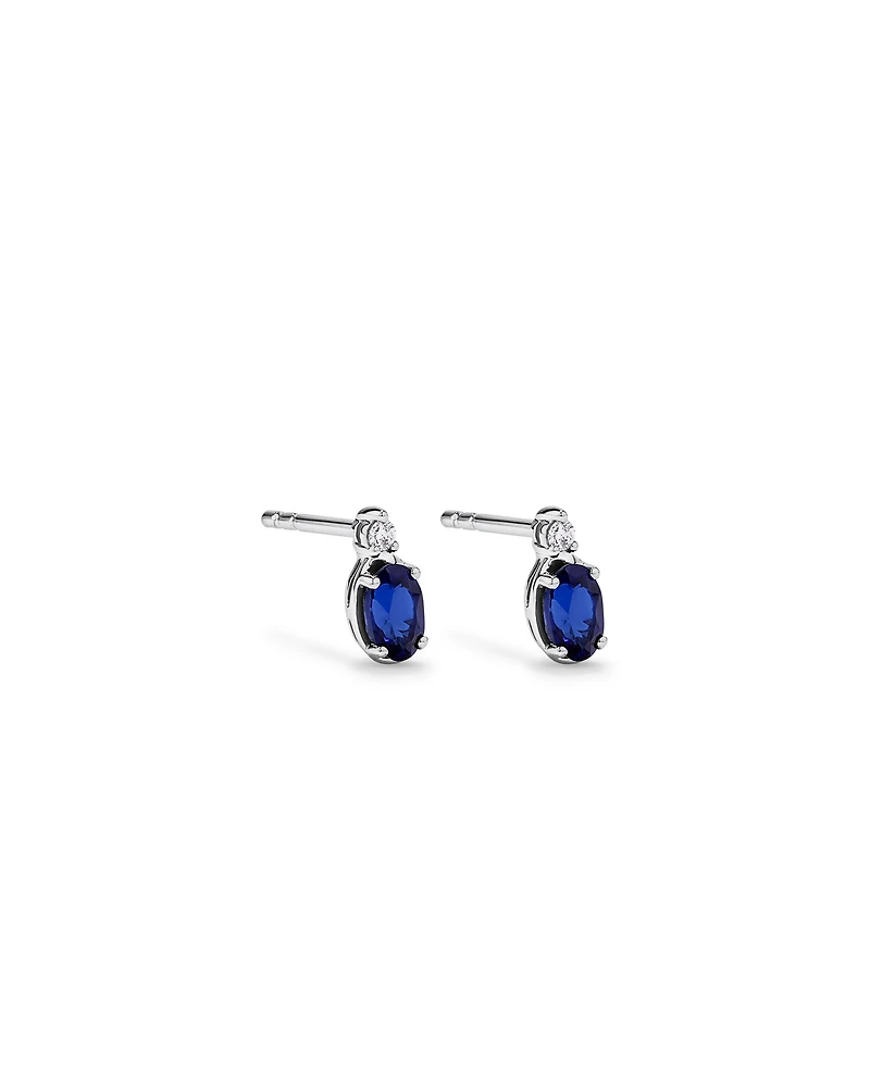 0.05 Carat TDW Laboratory-Grown Diamond & Created Sapphire Gift Set in Silver