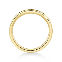 Wedding Band with 0.34 Carat TW of Diamonds in 14kt Gold