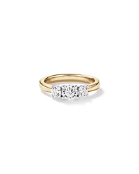 1.00 Carat TW 3 Stone Signature 101 Diamond Ring in 14kt Yellow and White Gold