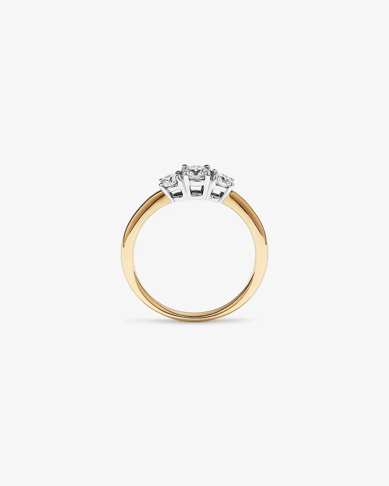 0.50 Carat TW 3 Stone Signature 101 Diamond Ring in 14kt Yellow and White Gold
