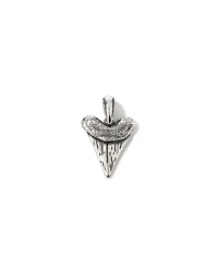 Shark Tooth Pendant in Sterling Silver