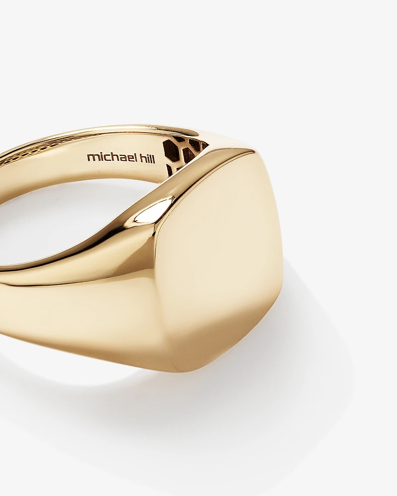 Men's Signet Ring in 10kt Yellow Gold