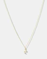 Z Initial Pendant in 10kt Yellow Gold