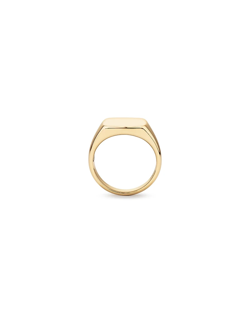 Chevalière en or jaune 10 K pour homme