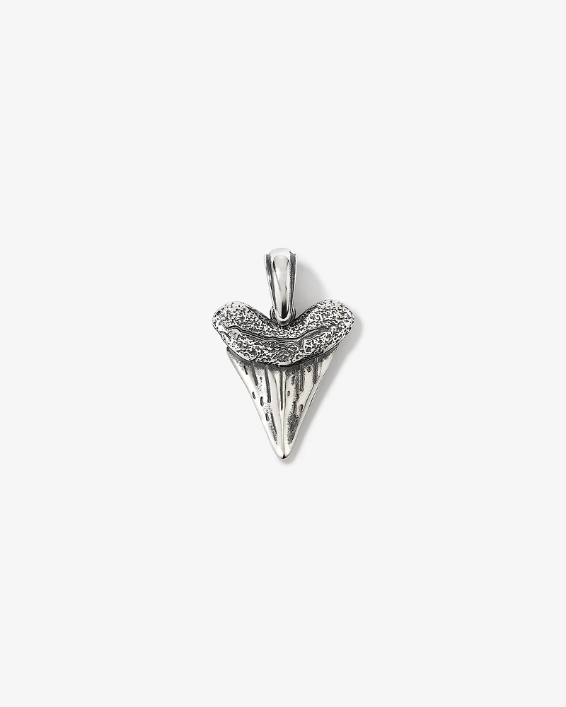 Shark Tooth Pendant in Sterling Silver