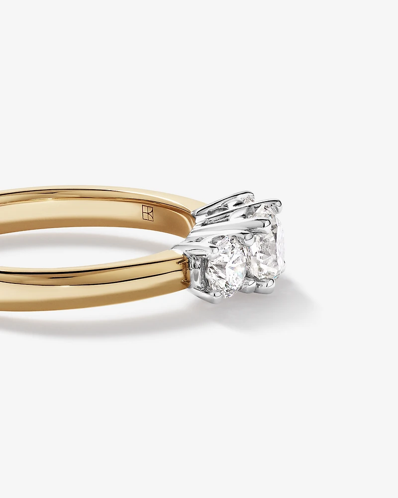 1.00 Carat TW 3 Stone Signature 101 Diamond Ring in 14kt Yellow and White Gold