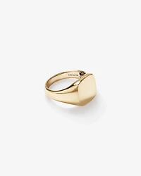 Men's Signet Ring in 10kt Yellow Gold
