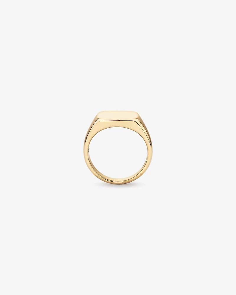 Men's Signet Ring in 10kt Yellow Gold