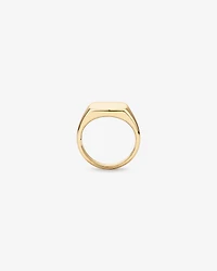 Men's Signet Ring in 10kt Yellow Gold