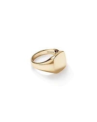 Men's Signet Ring in 10kt Yellow Gold