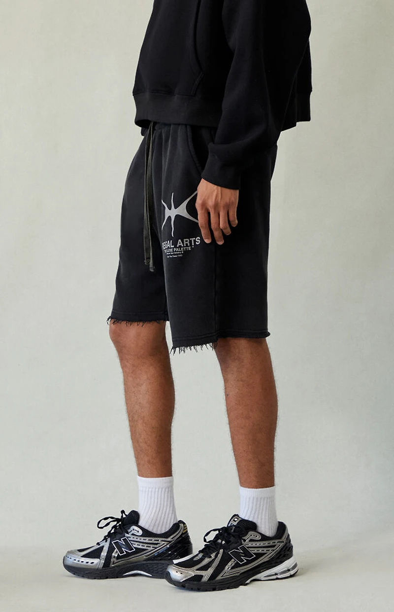 Pacsun Regal Arts Fleece Baggy Sweat Shorts