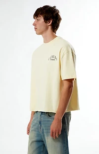 Pacsun Canvas Studios Cropped Boxy T-Shirt