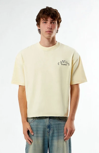 Pacsun Canvas Studios Cropped Boxy T-Shirt