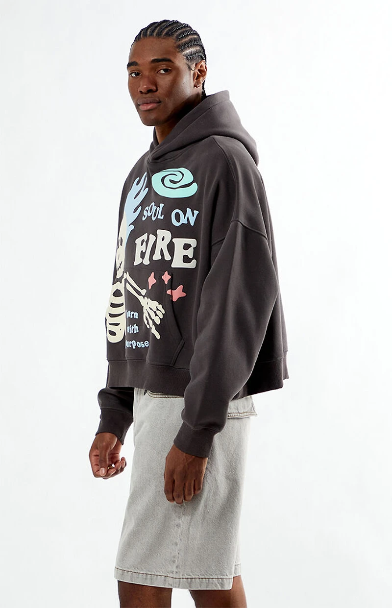 Pacsun Soul On Fire Cropped Hoodie