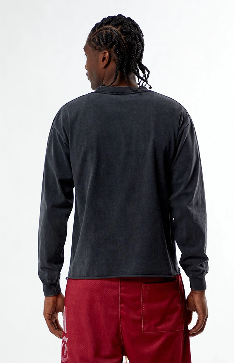 Pacsun Chaos Cropped Long Sleeve T-Shirt