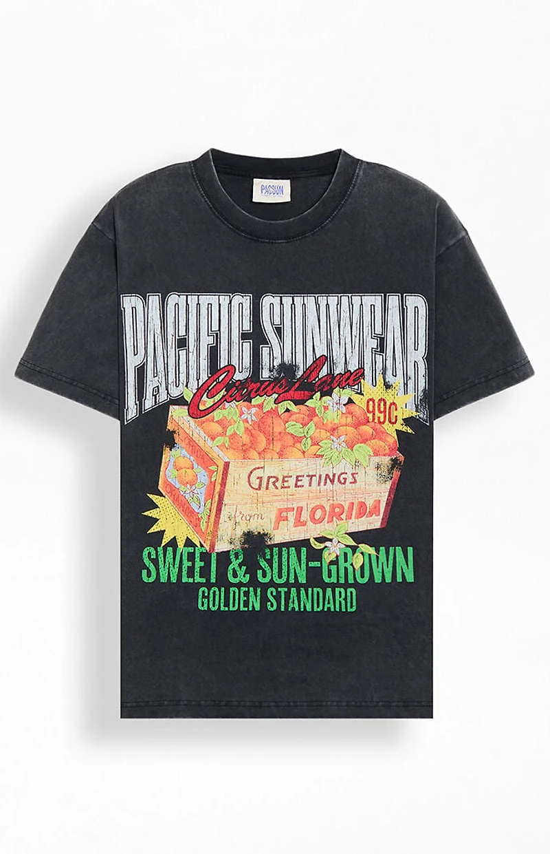 Pacsun Sweet And Sungrown T-Shirt