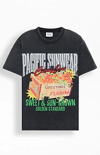 Pacsun Sweet And Sungrown T-Shirt