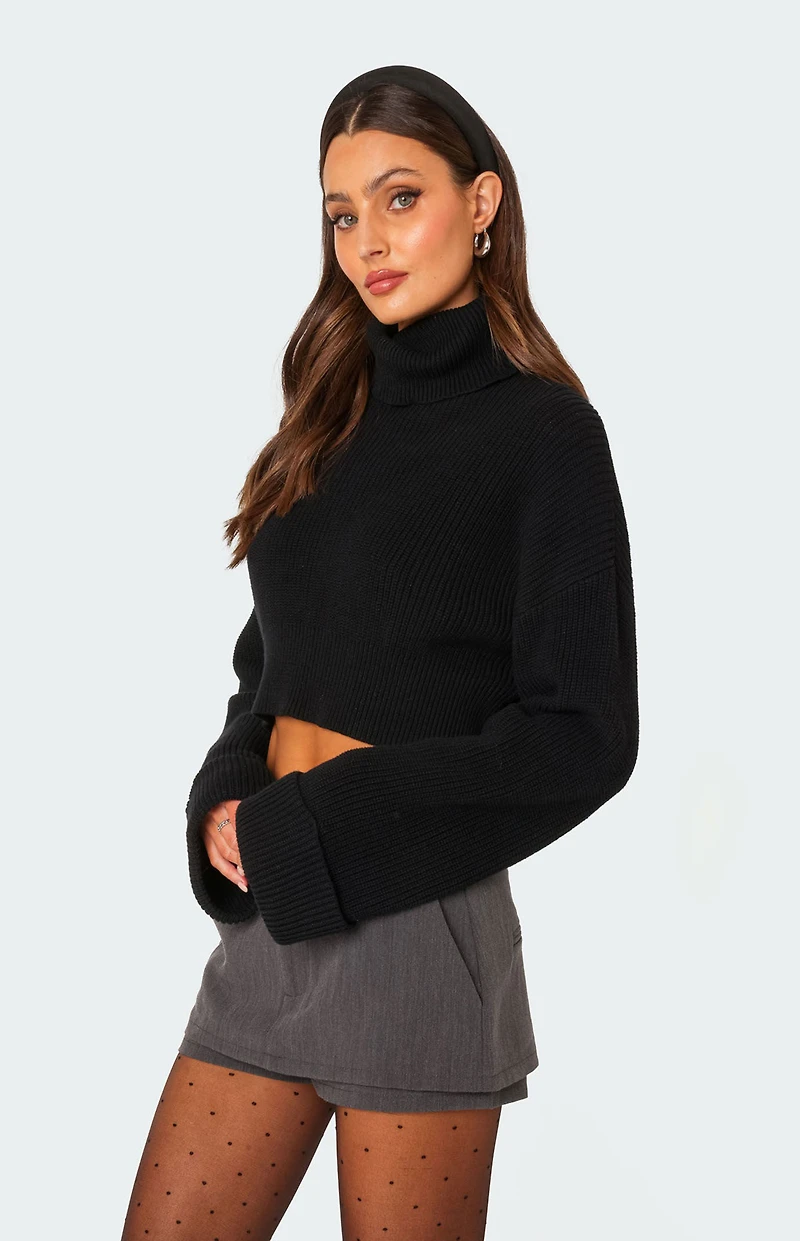 Edikted Oversized Turtle Neck Cropped Sweater