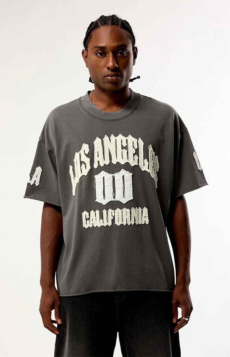 Pacsun LA Applique Knit T-Shirt