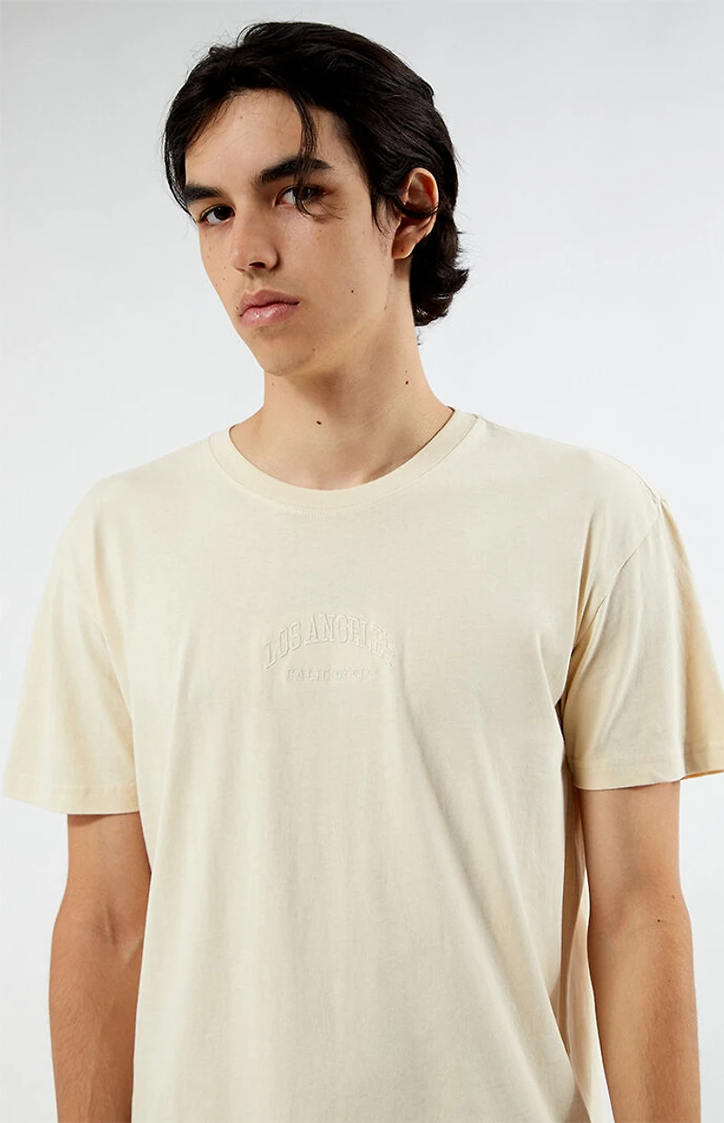 Pacsun LA Embroidered T-Shirt